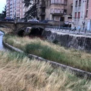 El Vero no se abandona solo
